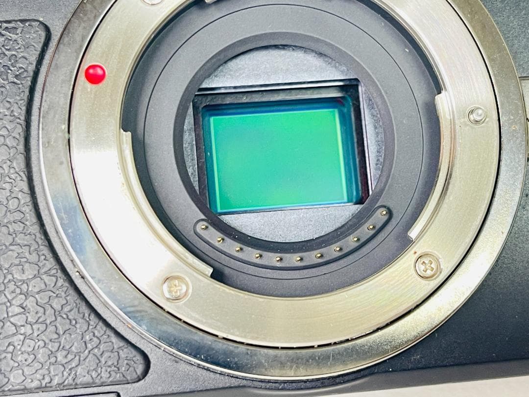 【ショット数5,121回】PANASONIC LUMIX DMC-GX1 ボディ