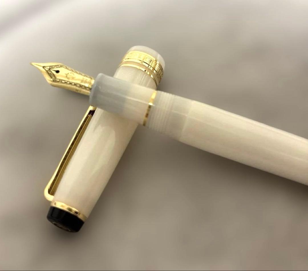 完売品：SAILOR万年筆 SHIKIORI 四季織 雪月空葉 専用箱付き