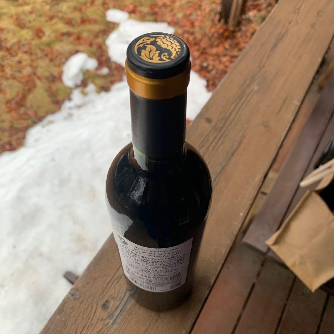 デュオ　ダミ　2017 ②