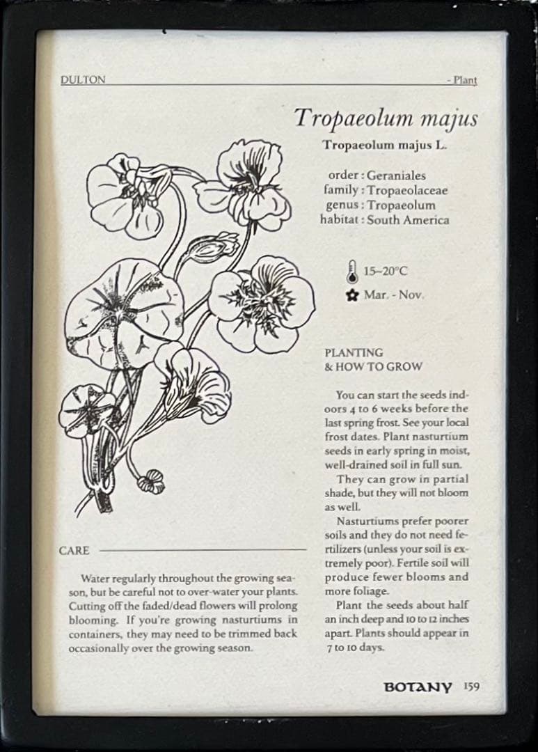 ダルトン　アンティーク調フォトフレーム　6インワン