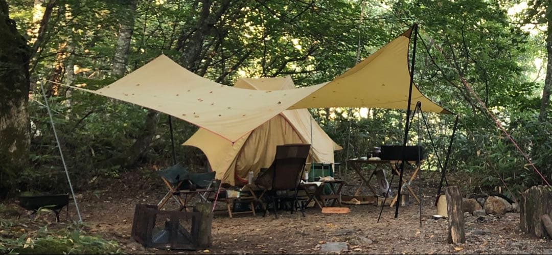 稀少美品⭐︎ Moss・Outfitter Wing（カムデン）