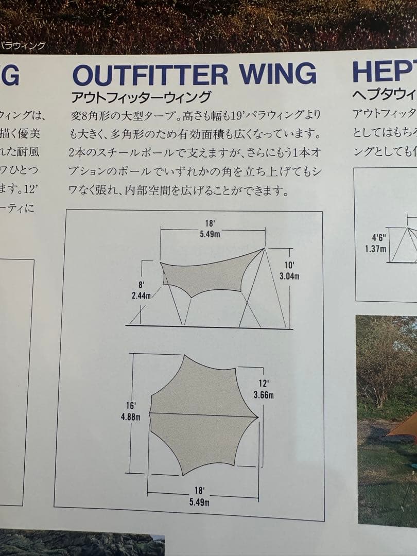 稀少美品⭐︎ Moss・Outfitter Wing（カムデン）