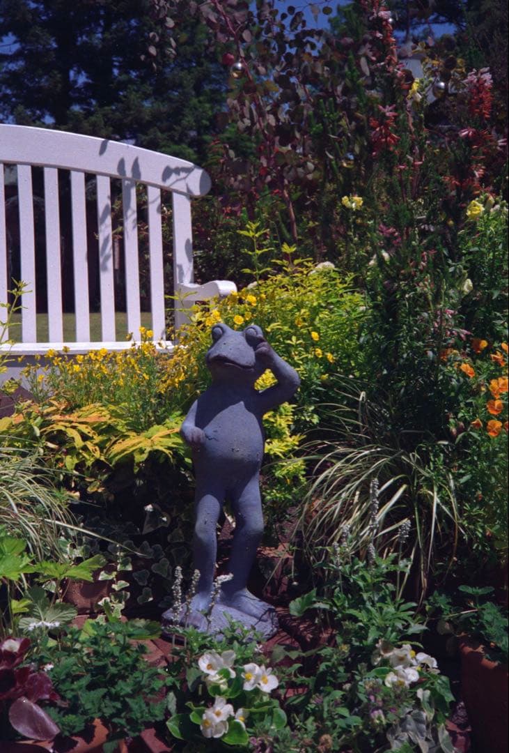 OLYMPUS 35RC 整備完動品、テスト撮影済み　371001