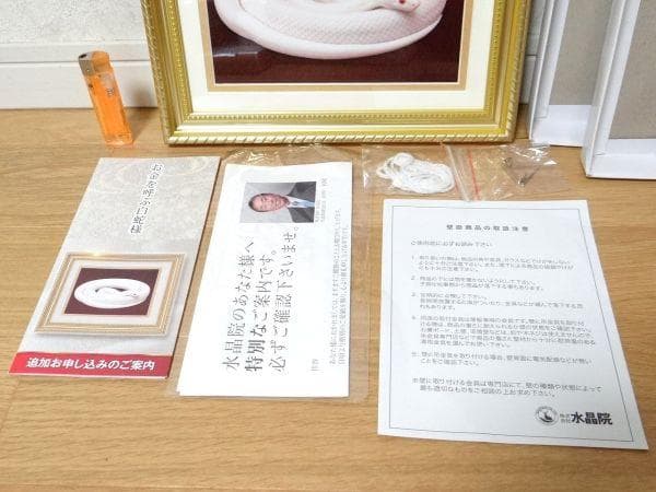 新品 水晶院 お金を呼ぶ白蛇様 写真 額付き 金運 幸運 開運
