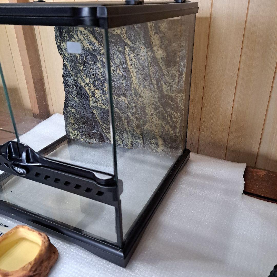 EXOTERRA グラステラリウム 3030 レオパ飼育セット