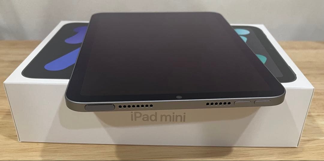 iPad mini 第7世代　ApplePencil proセット