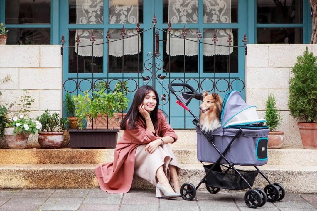 Ibiyaya　ペット用カート　ストローラー　FS1617-G　【平行輸入品】