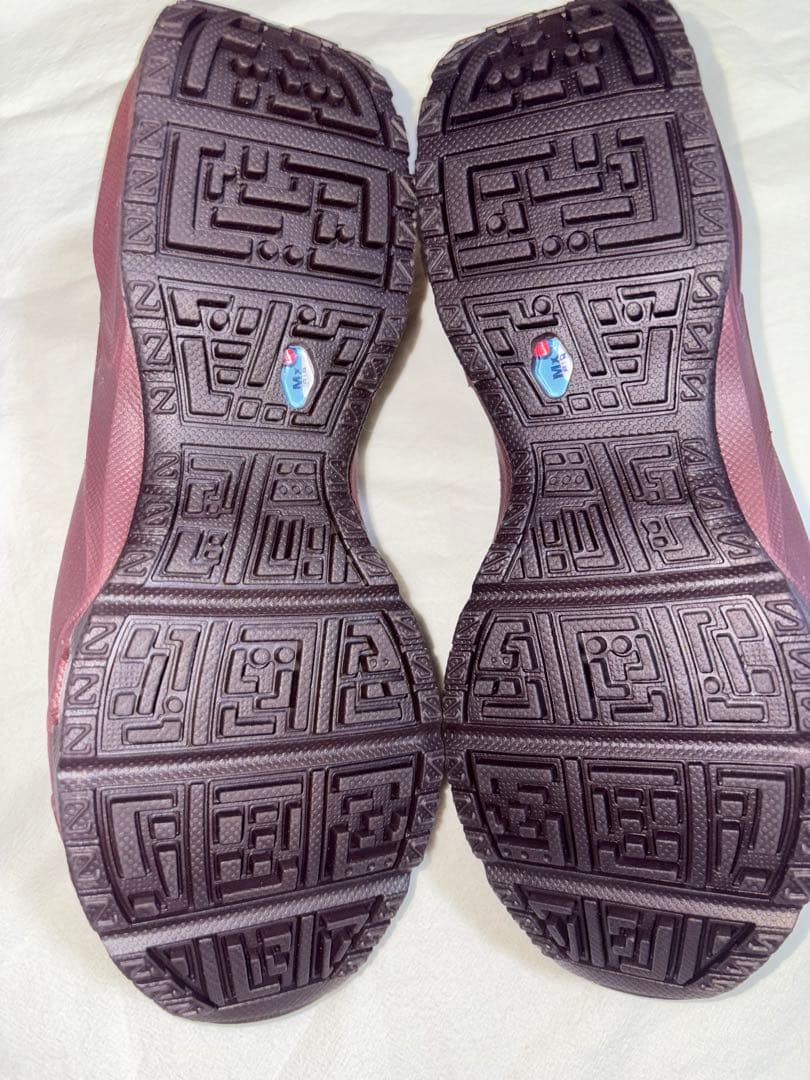 靴 Nike Air Max Phenomena \"Burgundy Crush\"