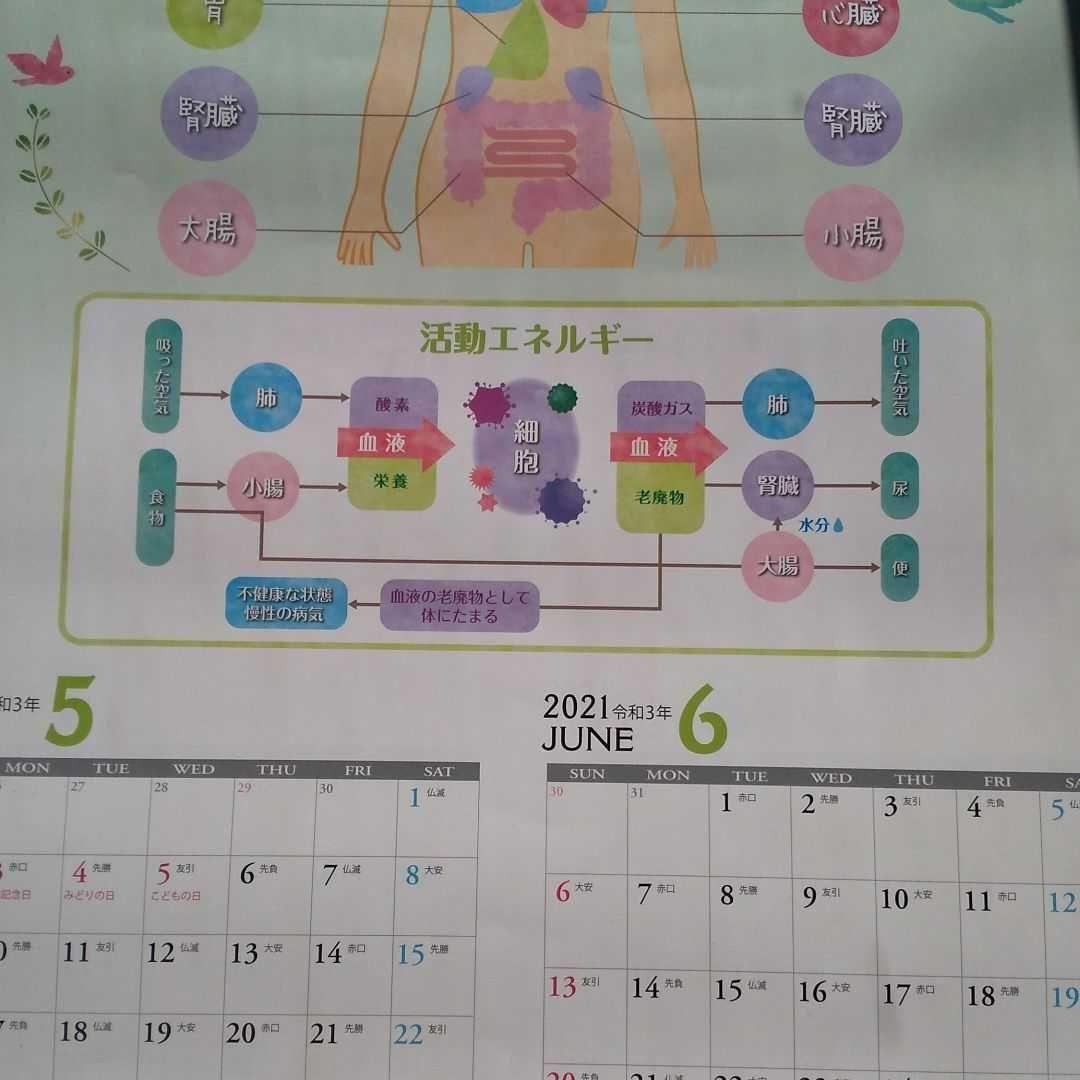 中国医学カレンダー