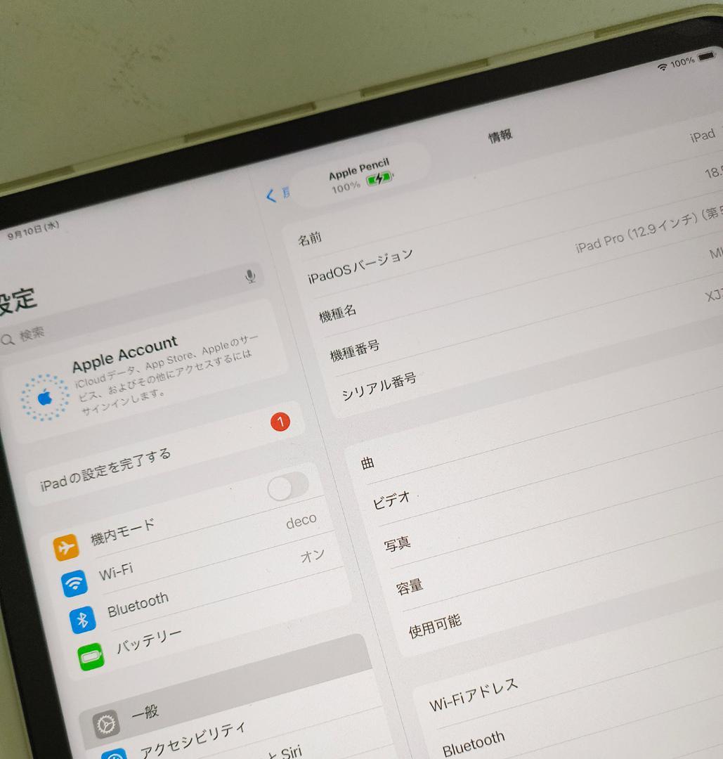 美品　iPad Pro 12.9 第5世代 256GB MHNJ3J/A