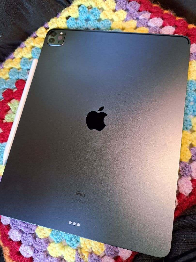 iPadPro 12.9インチ 第4世代 256GB Apple Pencil付