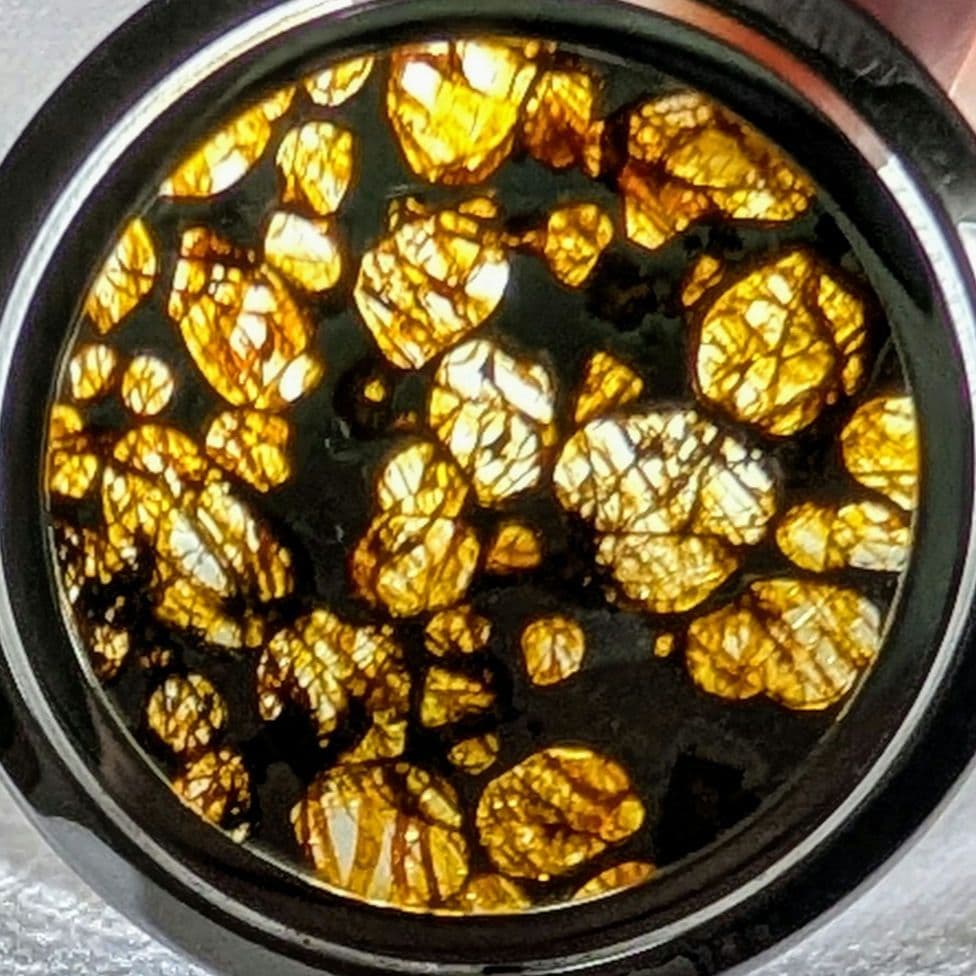 石鉄隕石（セリコ パラサイト）ペンダント トップ【鑑別書付】