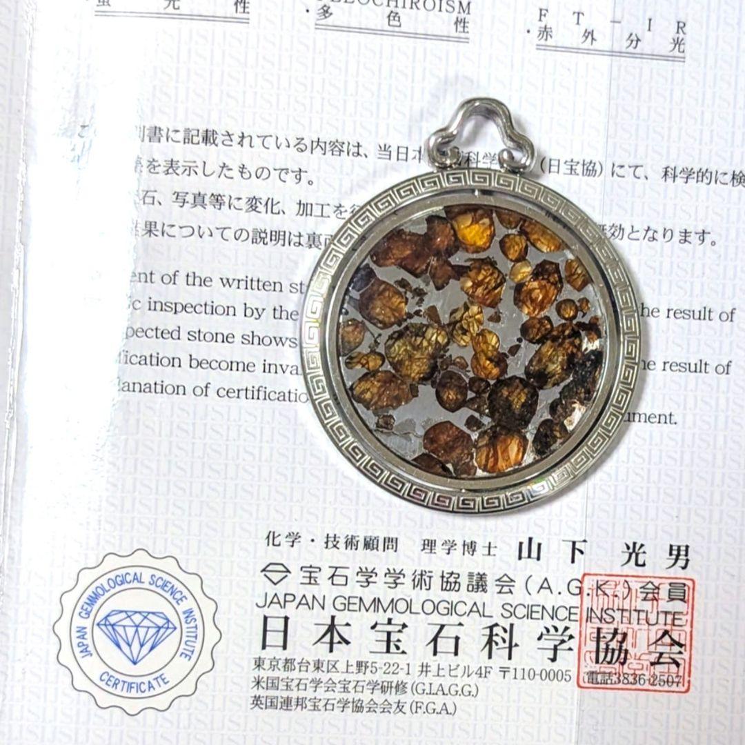 石鉄隕石（セリコ パラサイト）ペンダント トップ【鑑別書付】