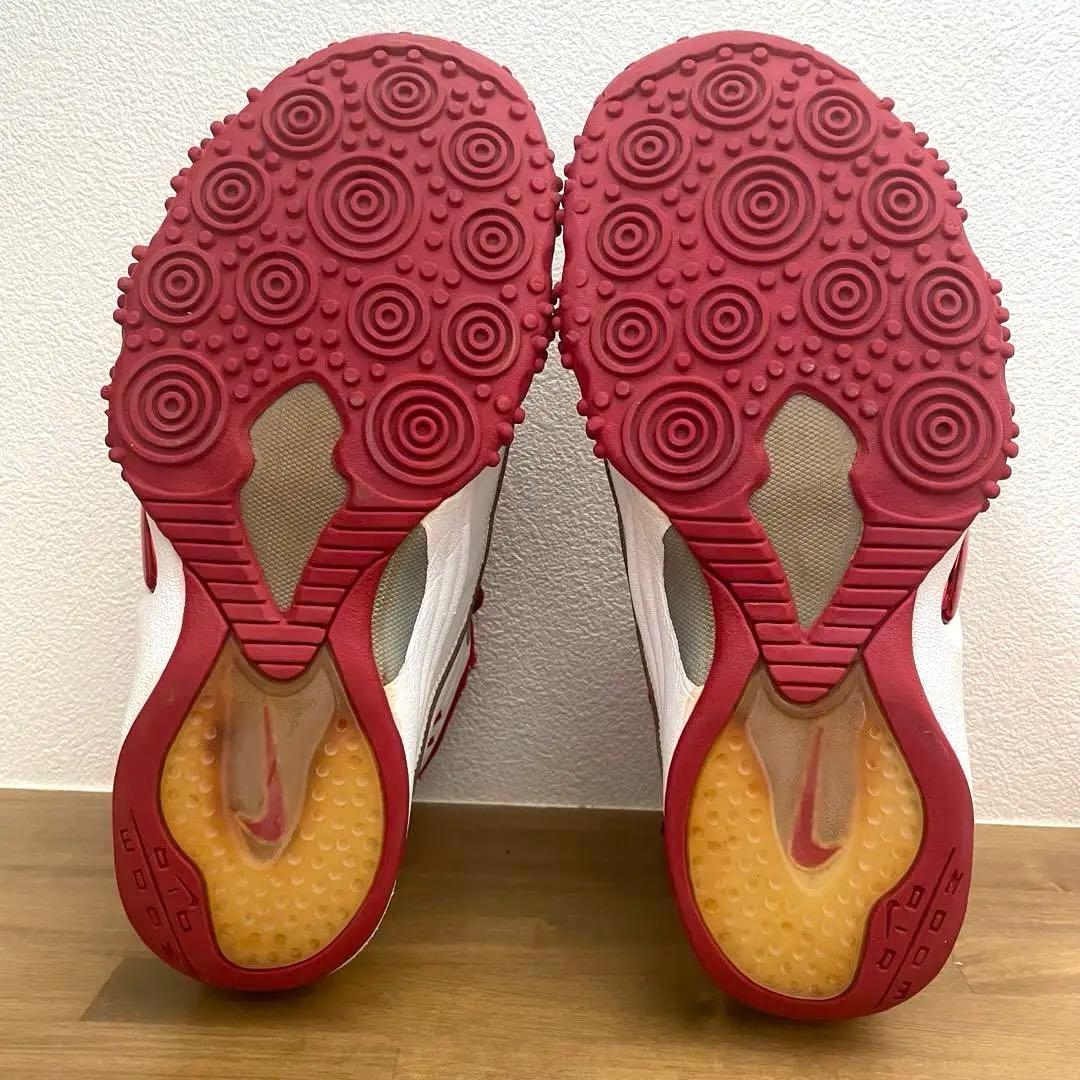 NIKE エアズームフライト 5 ID