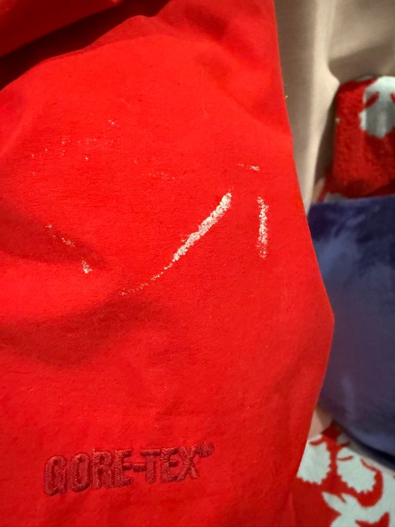 希少Patagonia パタゴニアリキッドスカイジャケット フリース付き