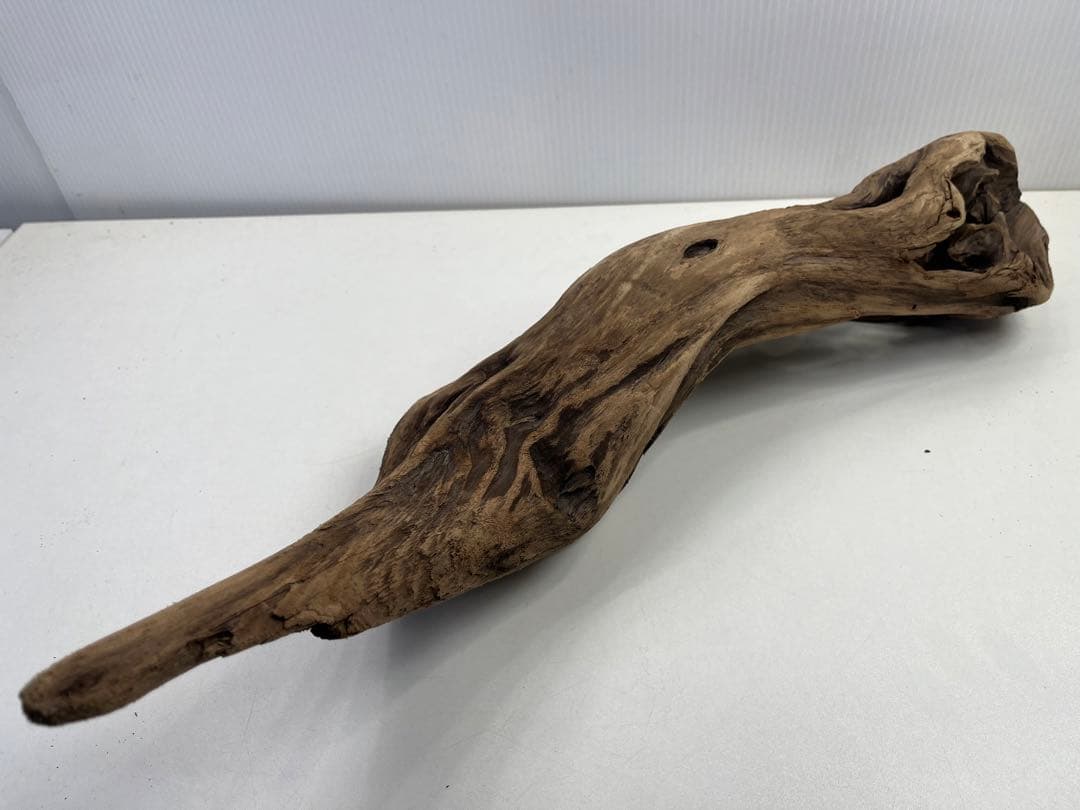 k50アク抜き済み流木 爬虫類シェルター レイアウト用 登り木 インテリア