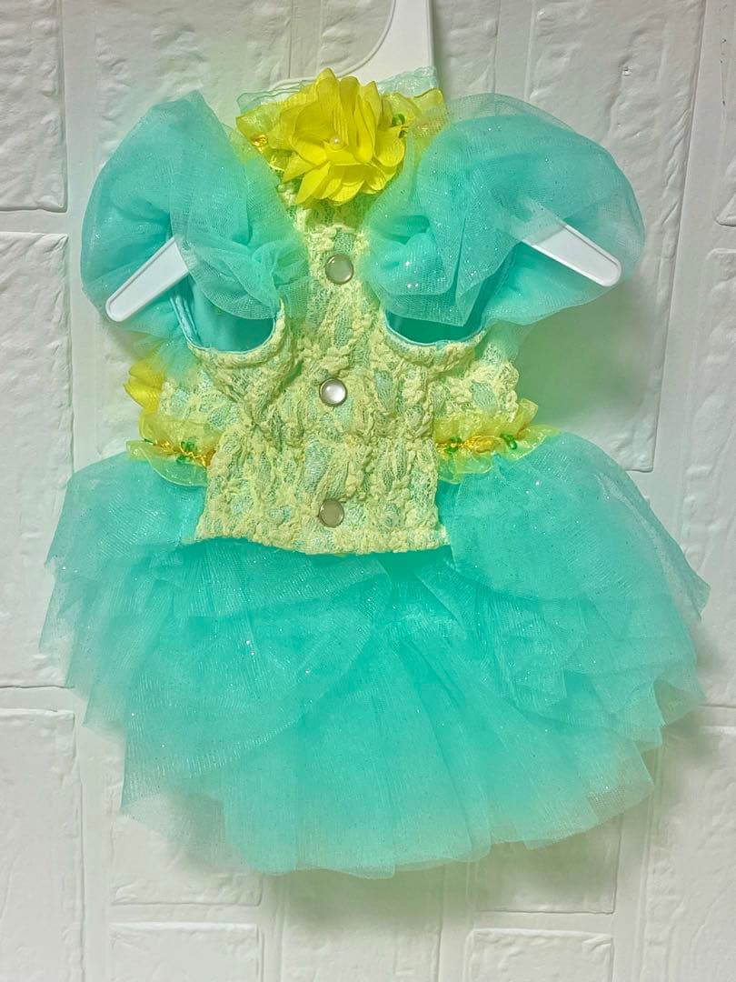 リュクスバーディー♡キャノラドレスSSサイズ完売サイズケース付き