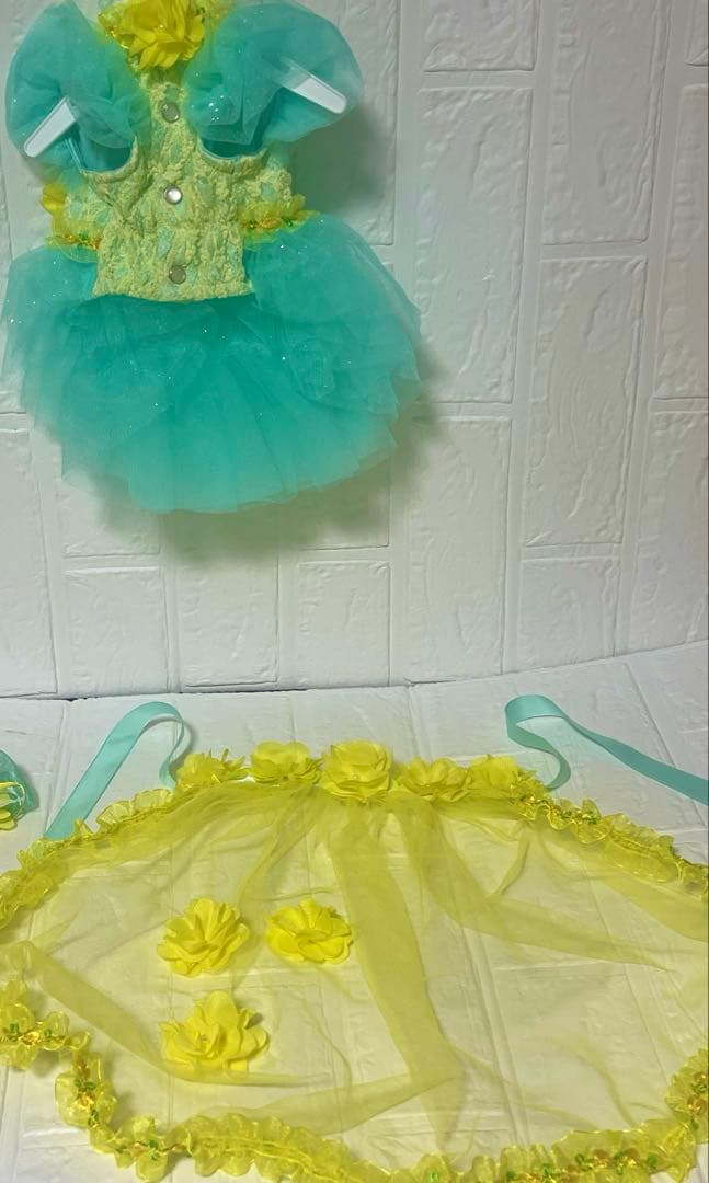 リュクスバーディー♡キャノラドレスSSサイズ完売サイズケース付き