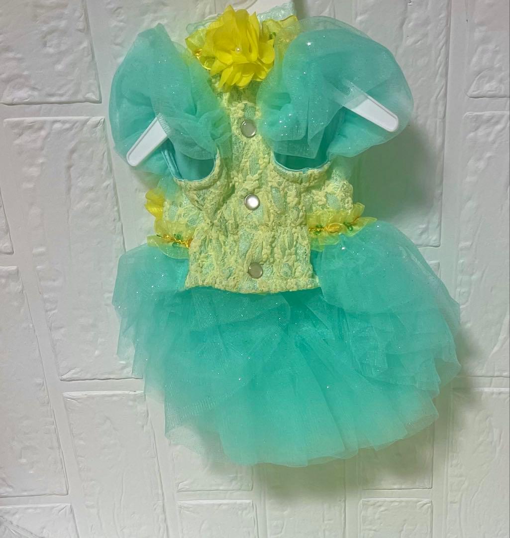 リュクスバーディー♡キャノラドレスSSサイズ完売サイズケース付き