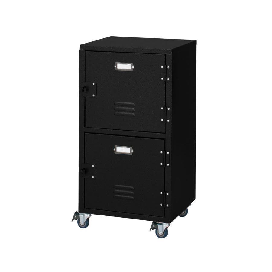 東谷 ラルド チェスト2D TPN-30GR 1514