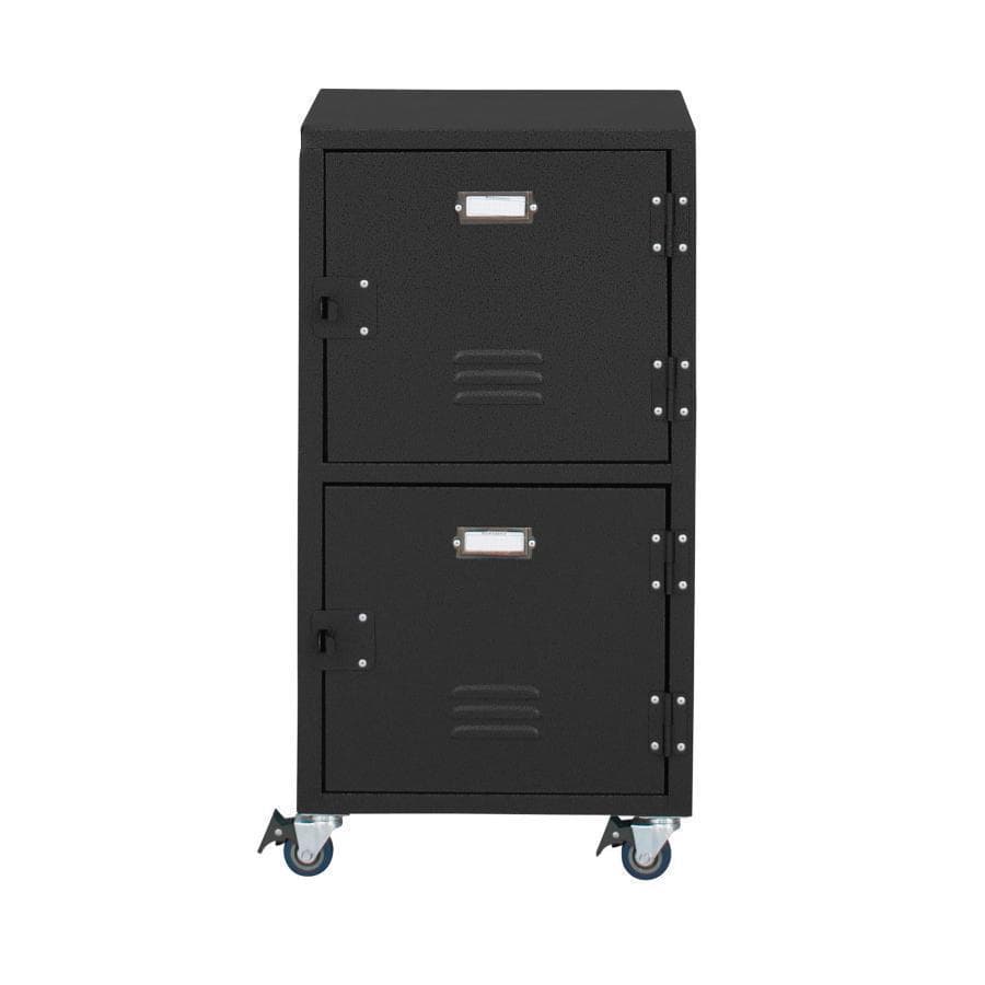 東谷 ラルド チェスト2D TPN-30GR 1514