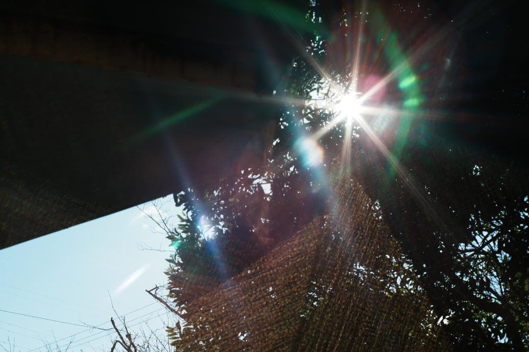 【エモい】ミノルタ Auto Rokkor-PF 58mm F1.4 438