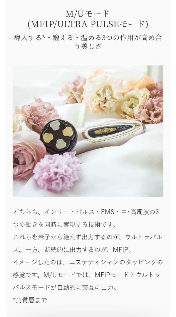 ミスアリーヴォ ザ・レイス　定価154000　公式HPで購入　フォクシー