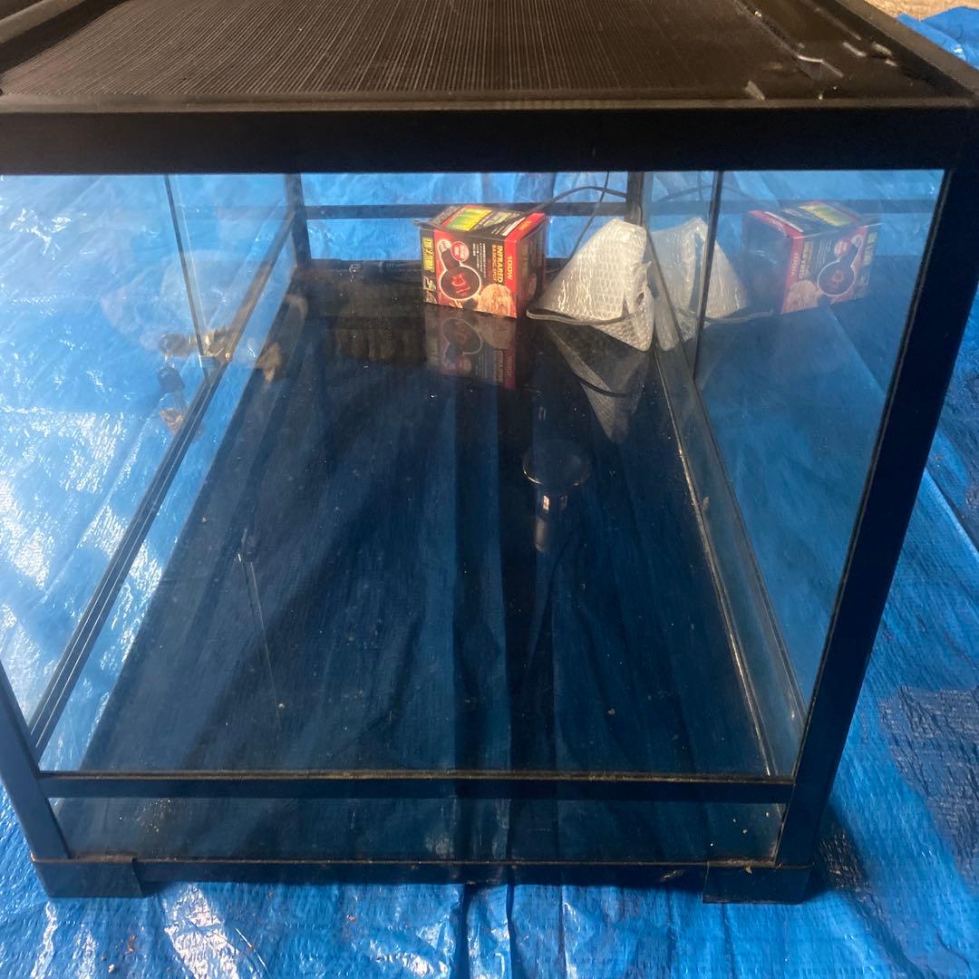 お茶　パンテオンブラックBK9045