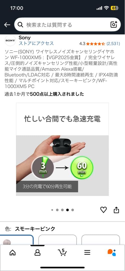 Sony WF-1000XM5 ワイヤレスイヤホン スモーキーピンク