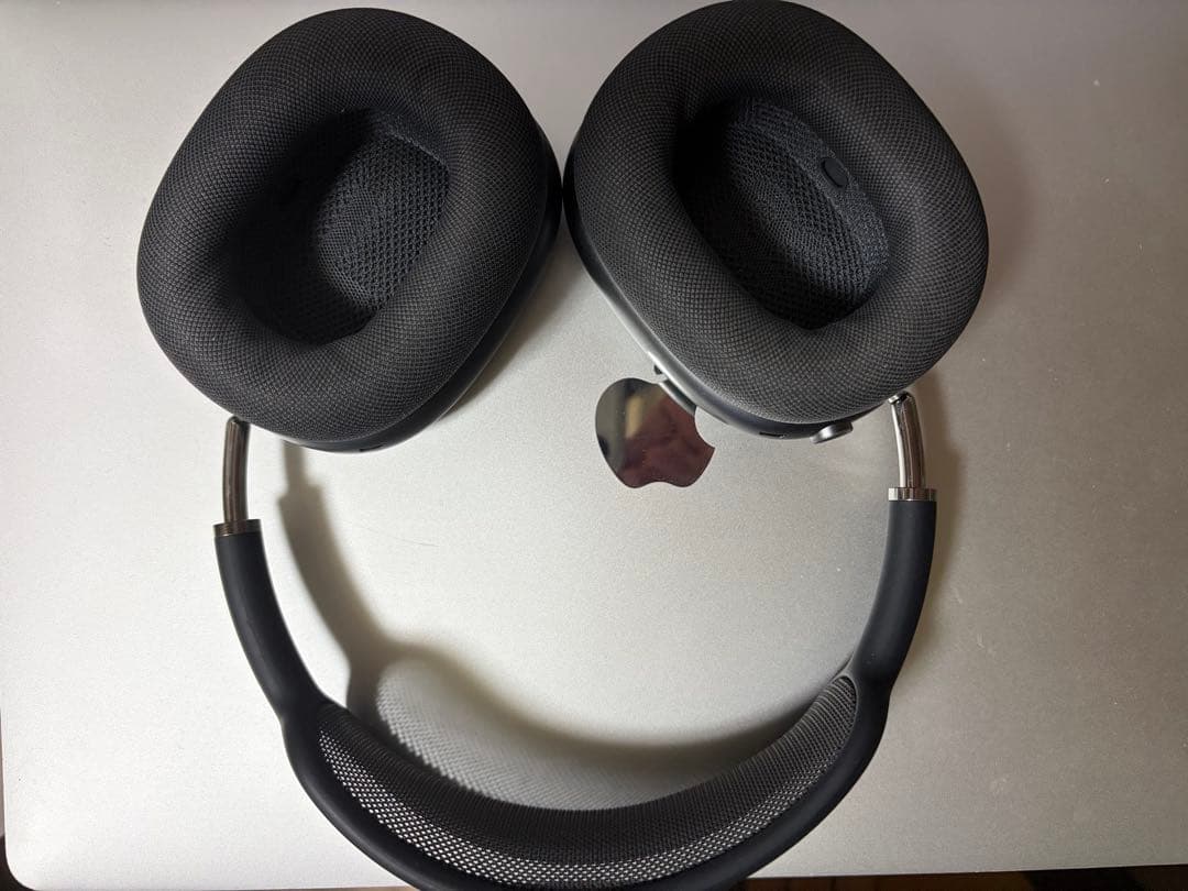 「ガオーらいおん」ブラックオーバーイヤーヘッドフォン本体