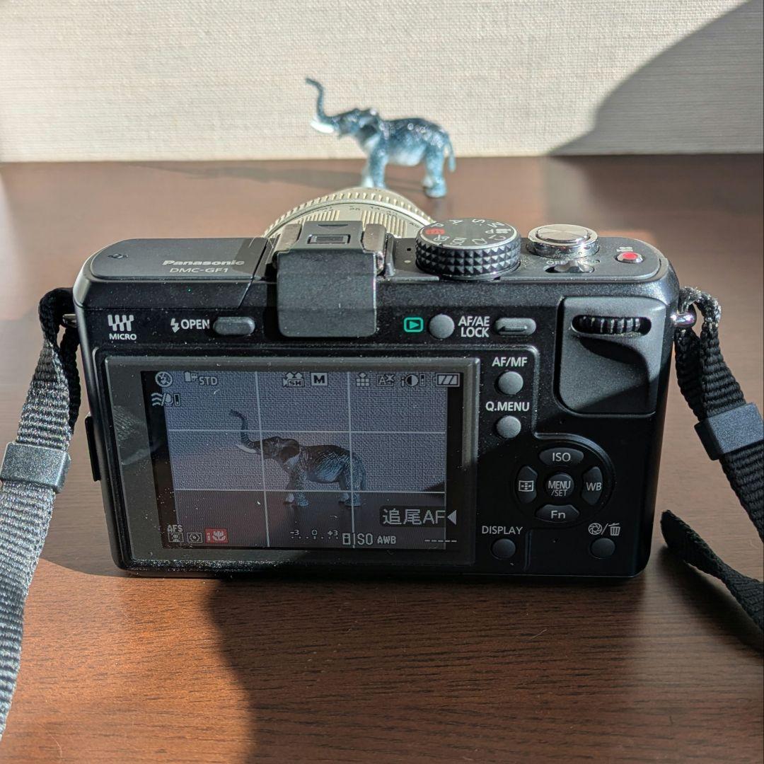 【美品】LUMIX DMC-GF1 ブラック