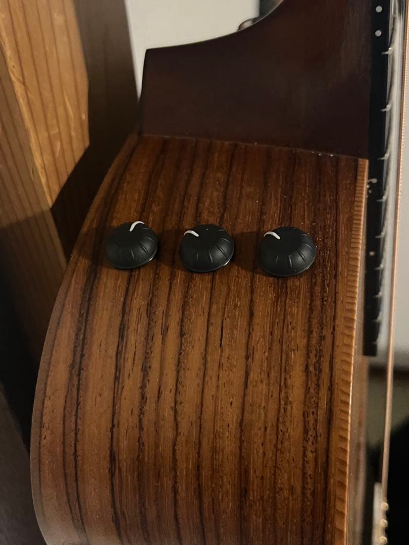 U*e様 gs mini-e Taylor rosewood ES-2 エレアコ