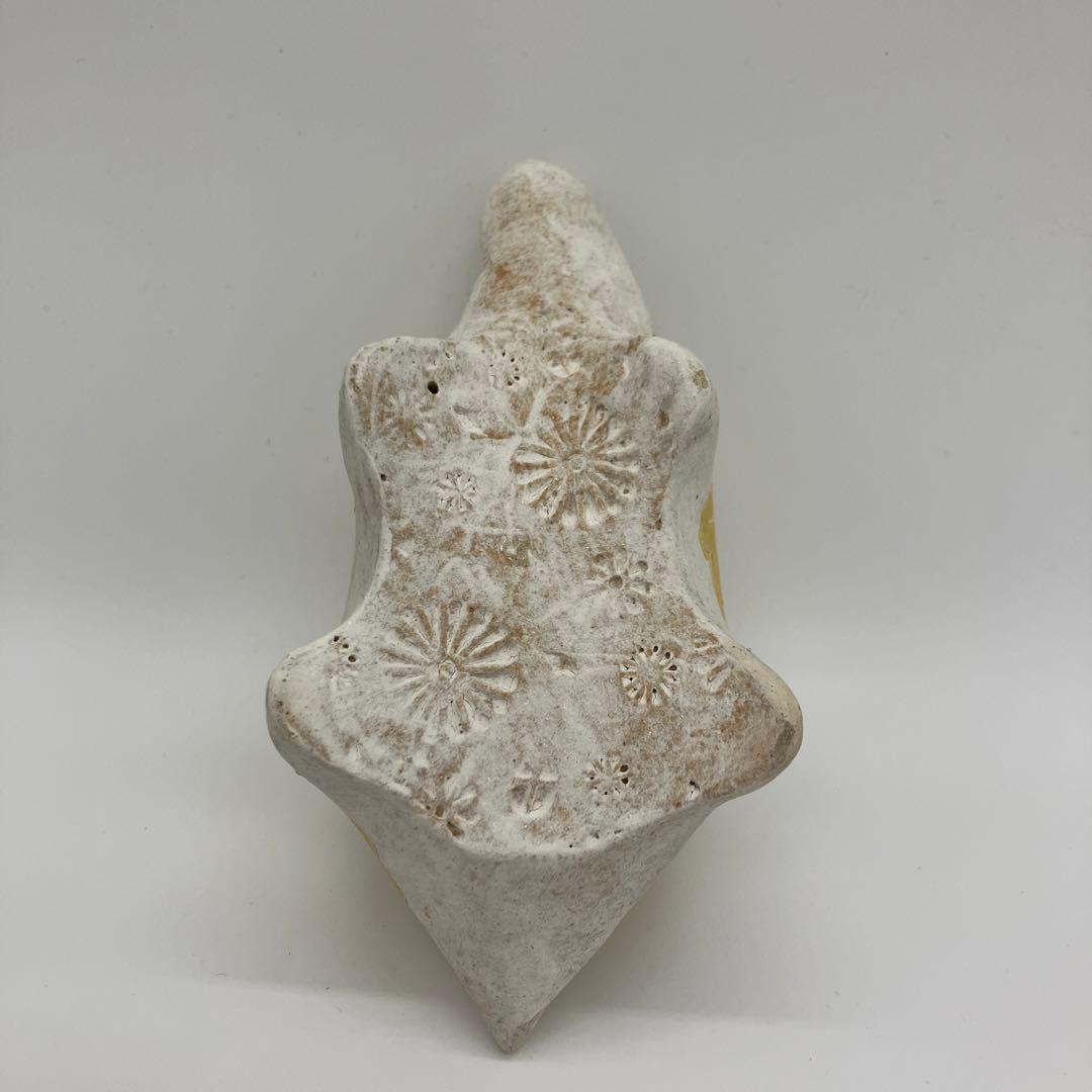 鹿児島睦　亀　置物　イエロー