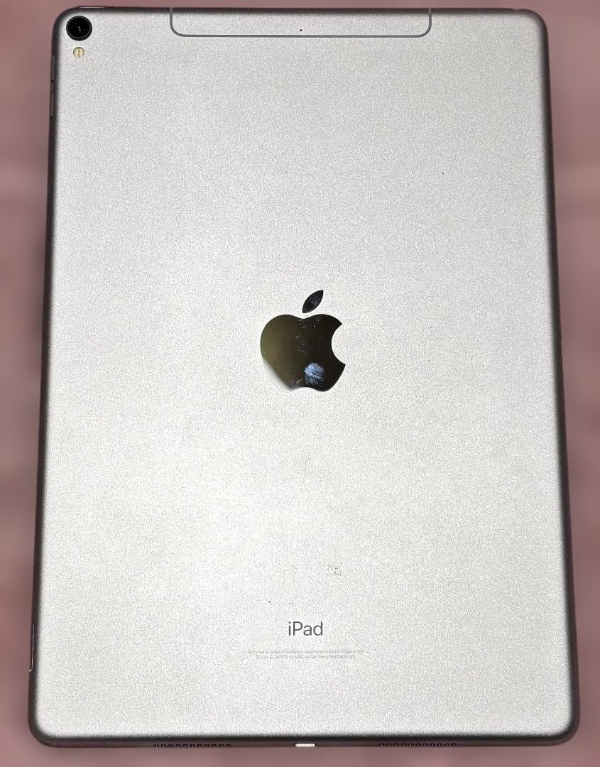 ★NS★iPad Pro（Cellular）Apple Pencil付き！