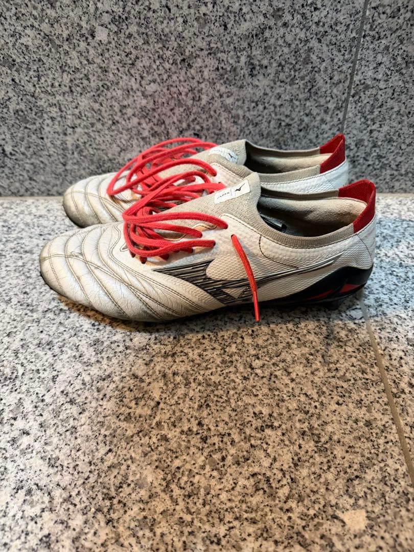 MORELIAネオ4β