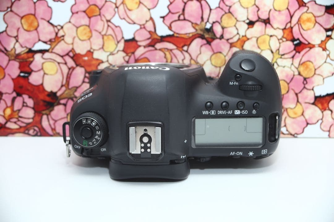 ❤堅牢の5D系列❤キヤノン EOS 5D mark IV❤