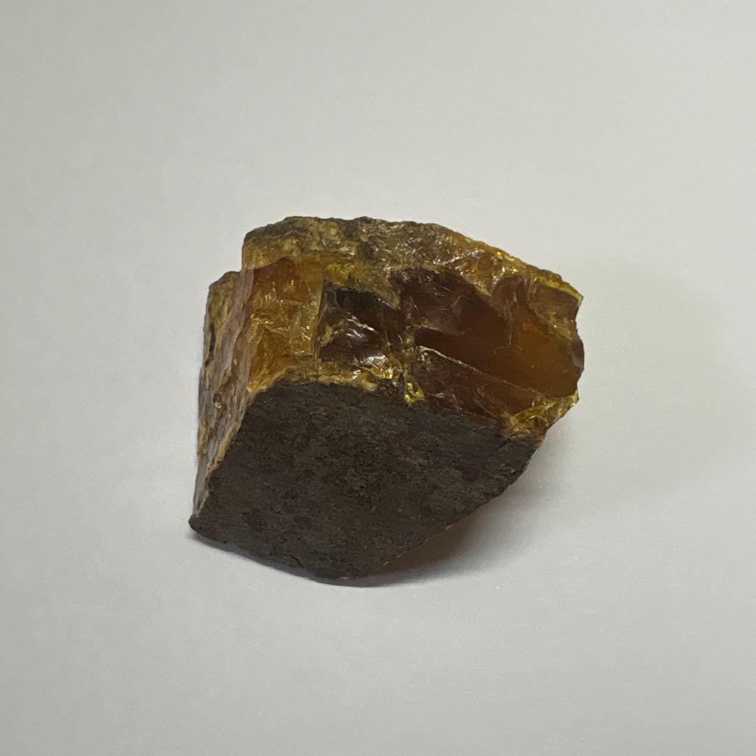 琥珀 アンバー 化石 宝石 原石 岩手県久慈産