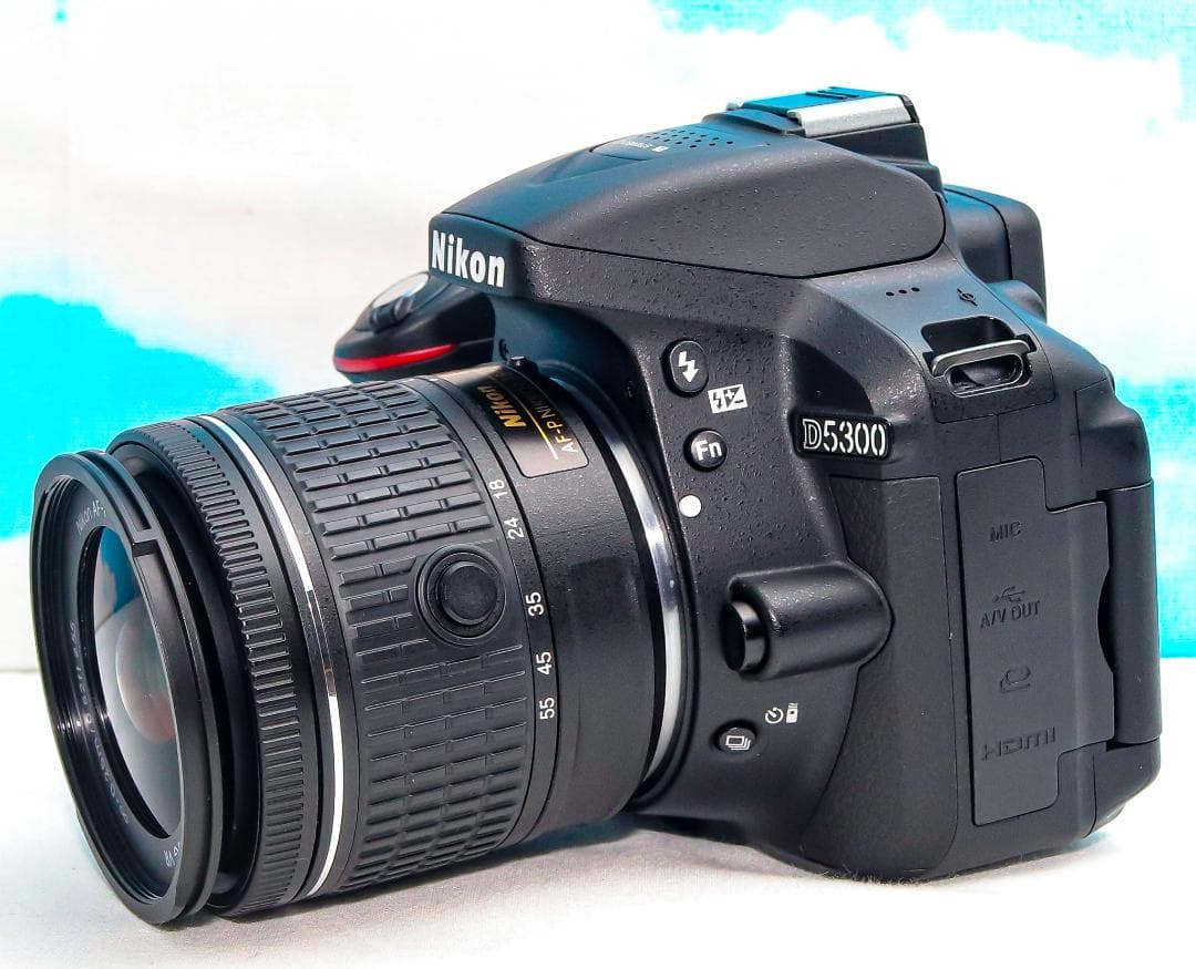 Nikon D5300⭐️ダブルレンズ⭐️Wi-Fi搭載⭐️自撮りがラクラク!