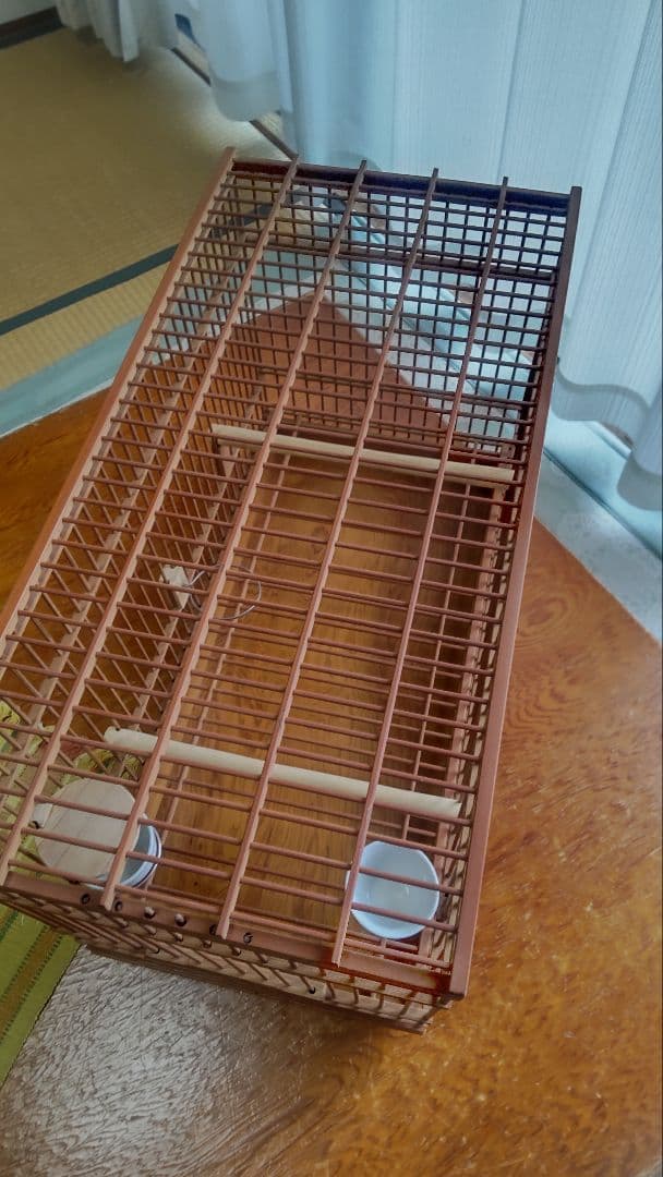 メジロ、ウグイス和鳥籠　　竹製手作り