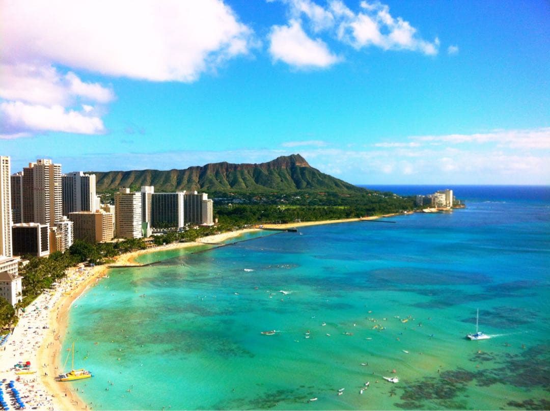 匿名配送　ハワイ Meli wraps(ミール ラップ)セット