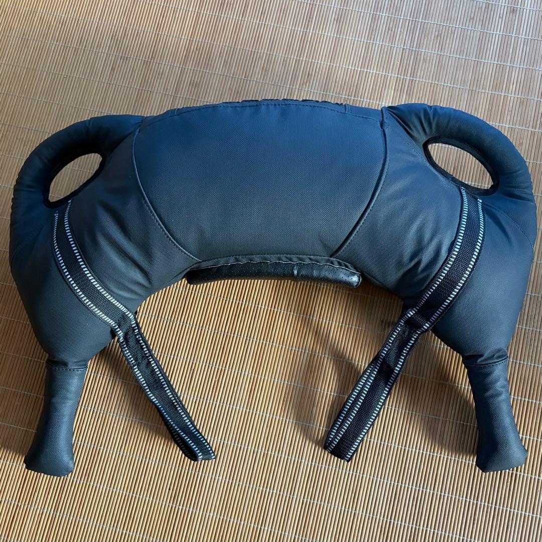 【美品】IROTEC アイロテック ブルガリアンバッグ 10kg