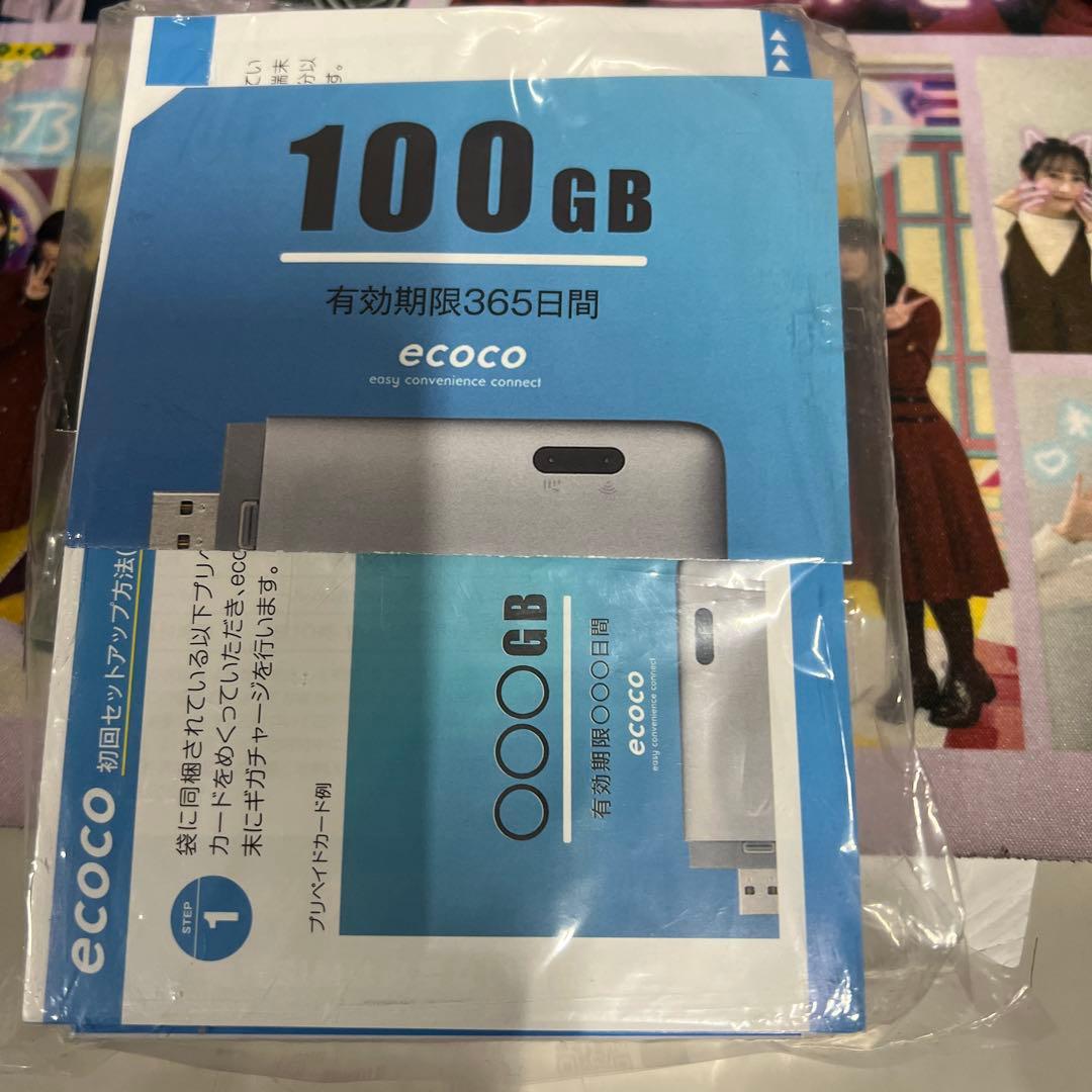 ecoco ポケットWiFi 100GB 365日