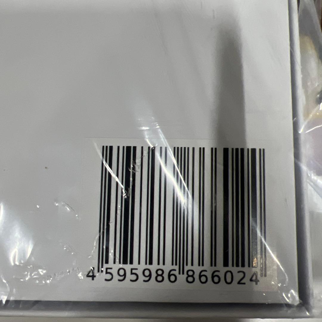 ecoco ポケットWiFi 100GB 365日