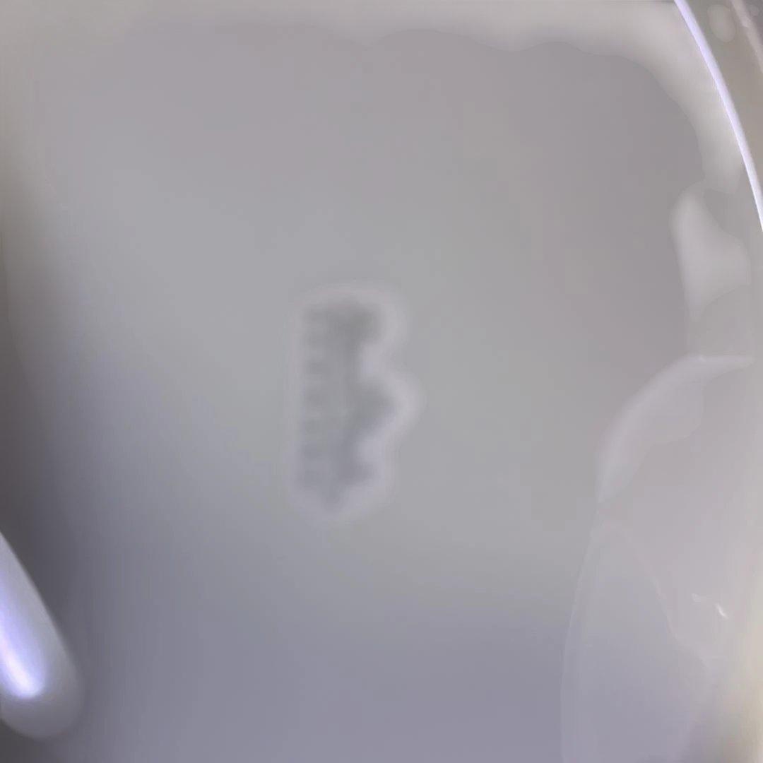 [美品]ドイツ　ローゼンタール 16.5cnプレート5枚セット