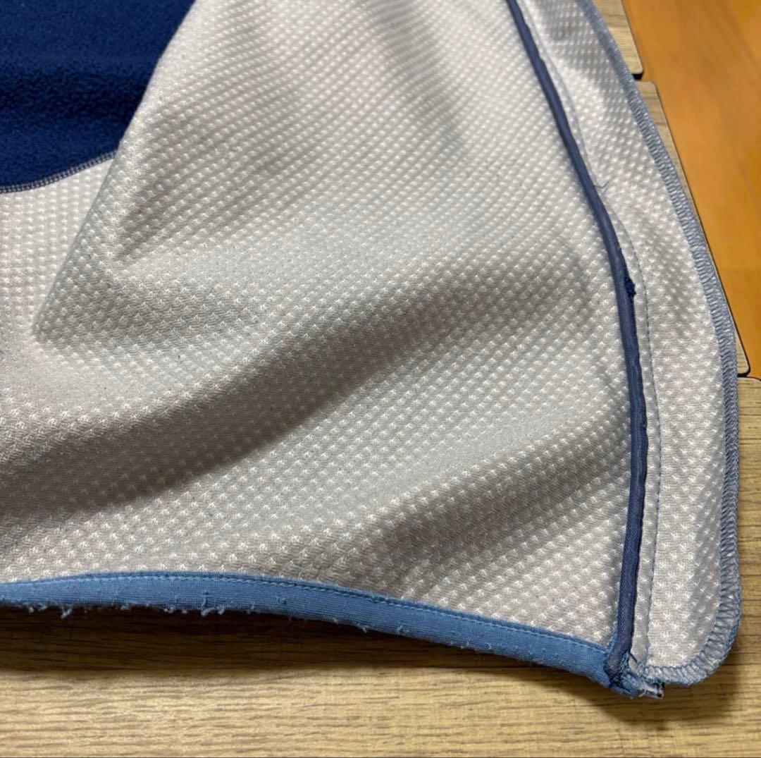 パタゴニア 00年 usa製 フライヤーフリースベスト 刺繍ロゴ 水色 M 希少