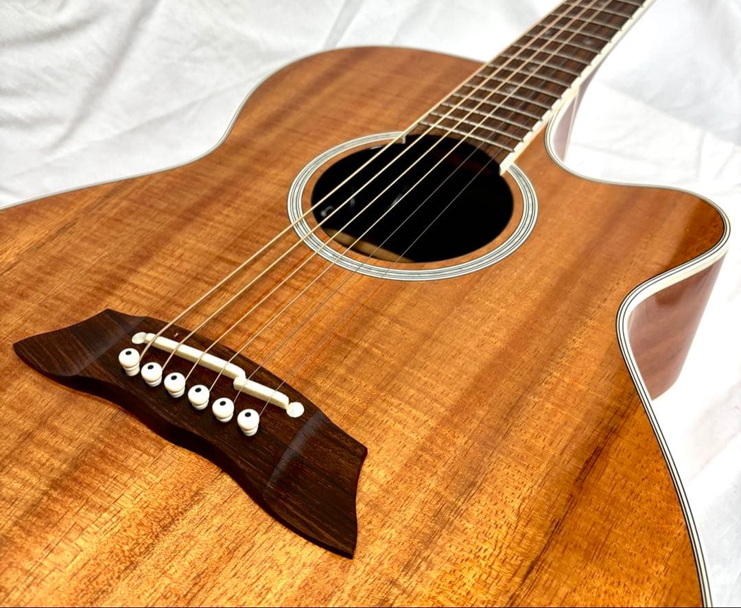 【ハワイアンコア】Takamine エレアコ PTU108K N 日本製