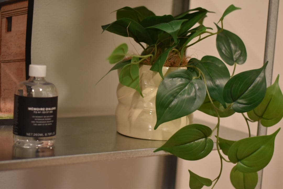 レンズ(単焦点) Nikon AF-S 50mm F1.8G Special Edition