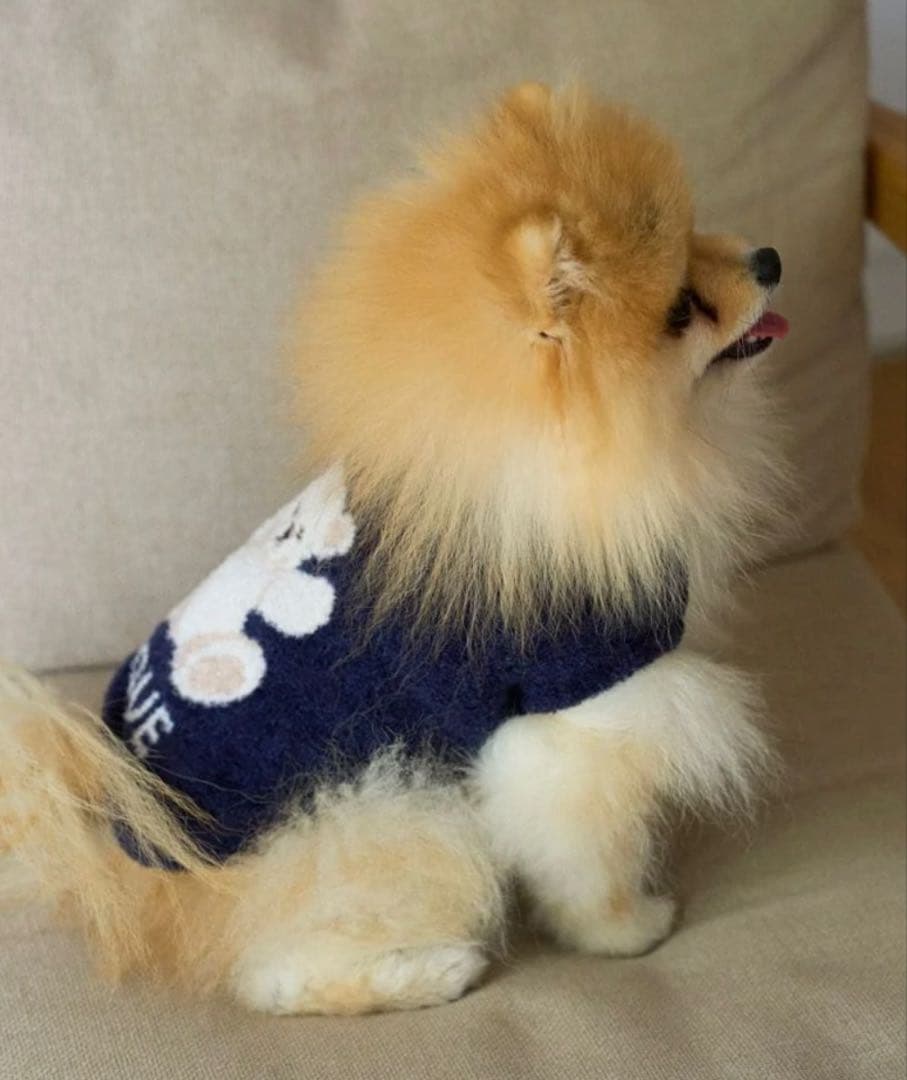 ジェラートピケ　ベア柄ジャガードノースリーブプルオーバー　ネイビーMサイズ