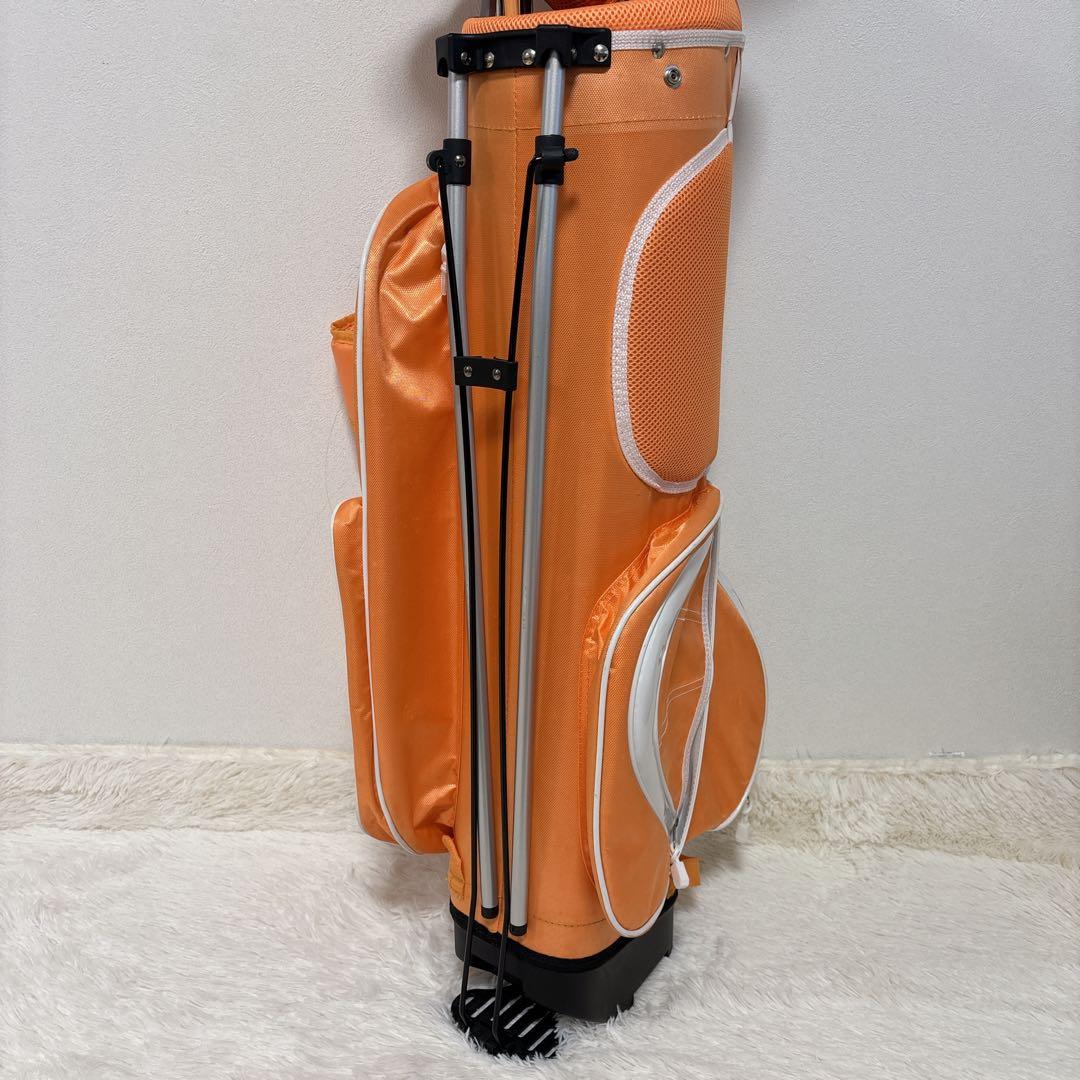 希少 美品 ワールドイーグル FL-01 V2 レディースゴルフセット 10本