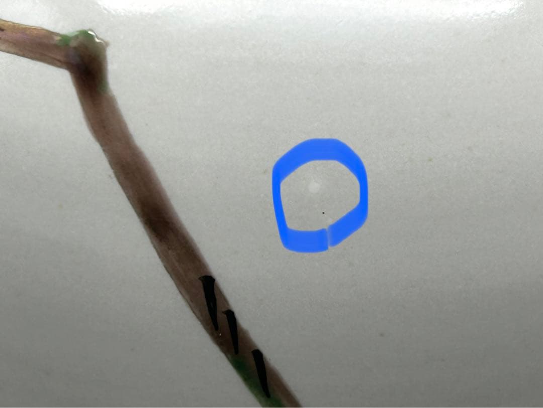 【希少】九谷焼　梶本太衛造　花瓶　青九谷釉彩桃之図　梶本太衛　工芸品